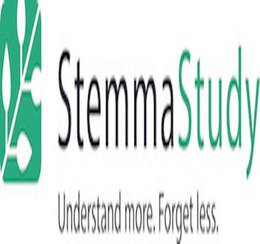 STEMMASTUDY UNDERSTAND MORE. FORGET LESS. trademark