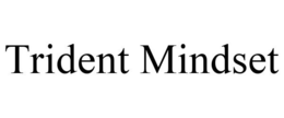 TRIDENT MINDSET trademark