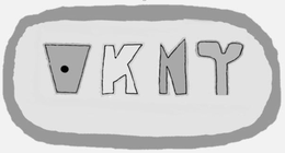 VKNY trademark
