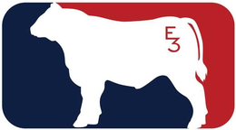 E3 trademark