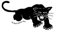THE BLACK PANTHER PARTY trademark