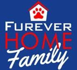 FUREVER HOME FAMILY trademark