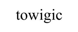 TOWIGIC trademark