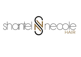 SHANTEL NECOLE HAIR SN trademark