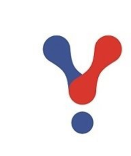 V trademark