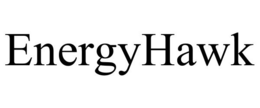 ENERGYHAWK trademark