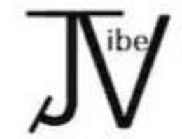 JV IBE trademark