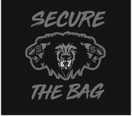 SECURE THE BAG trademark