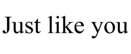 JUST LIKE YOU trademark