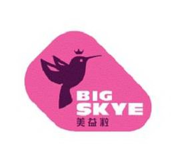 BIG SKYE trademark