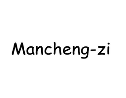 MANCHENG-ZI trademark