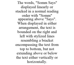 THE WORDS, "SOMM SAYS" DISPLAYED LINEARLY OR STACKED IN A NORMAL READING ORDER WITH "SOMM" APPEARING ABOVE "SAYS". WHEN DISPLAYED IN EITHER ARRANGEMENT, THE TEXT IS BOUNDED ON THE RIGHT AND LEFT WITH STYLIZED LINES RESEMBLING A BRACKET ENCOMPASSING THE TEXT FROM TOP TO BOTTOM, BUT NOT EXTENDING ABOVE OR BELOW THE TEXT EITHER VERTICALLY OR HORIZONTALLY. trademark
