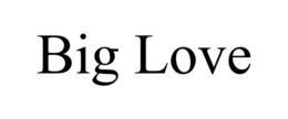 BIG LOVE trademark