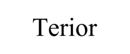 TERIOR trademark