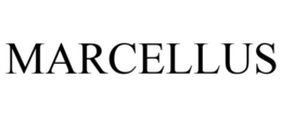 MARCELLUS trademark