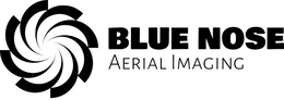 BLUE NOSE AERIAL IMAGING trademark