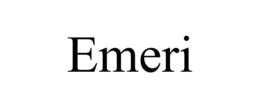 EMERI trademark