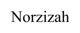 NORZIZAH trademark