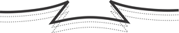 ZZ trademark