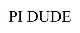 PI DUDE trademark