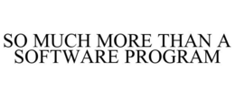 SO MUCH MORE THAN A SOFTWARE PROGRAM trademark
