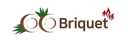 BRIQUET trademark