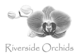 RIVERSIDE ORCHIDS trademark