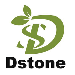 DS DSTONE trademark