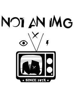 NOT AN IMG, SINCE 197X trademark