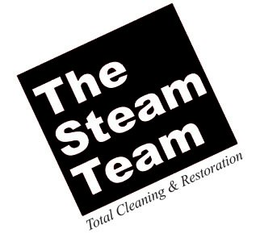 THE STEAM TEAM TOTAL CLEANING & RESTORATION trademark