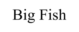BIG FISH trademark