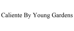 CALIENTE BY YOUNG GARDENS trademark