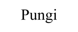 PUNGI trademark