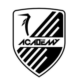 THE ACADEMY trademark