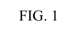 FIG. 1 trademark
