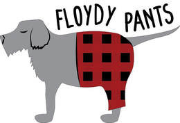 FLOYDY PANTS trademark