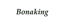 BONAKING trademark