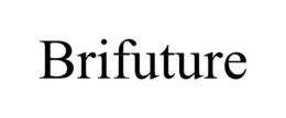 BRIFUTURE trademark