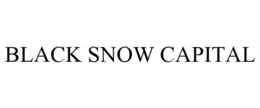 BLACK SNOW CAPITAL trademark