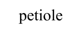 PETIOLE trademark