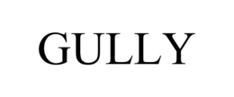 GULLY trademark