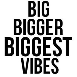 BIG BIGGER BIGGEST VIBES trademark