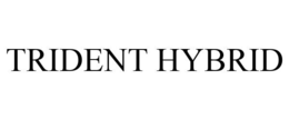 TRIDENT HYBRID trademark