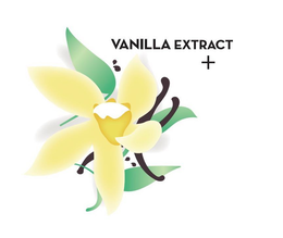 VANILLA EXTRACT + trademark