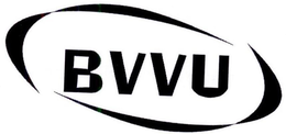 BVVU trademark