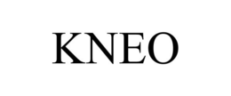 KNEO trademark