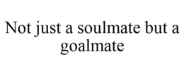 NOT JUST A SOULMATE BUT A GOALMATE trademark