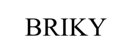 BRIKY trademark