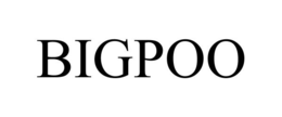 BIGPOO trademark