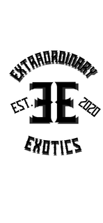 EXTRAORDINARY EST. EE 2020 EXOTICS trademark